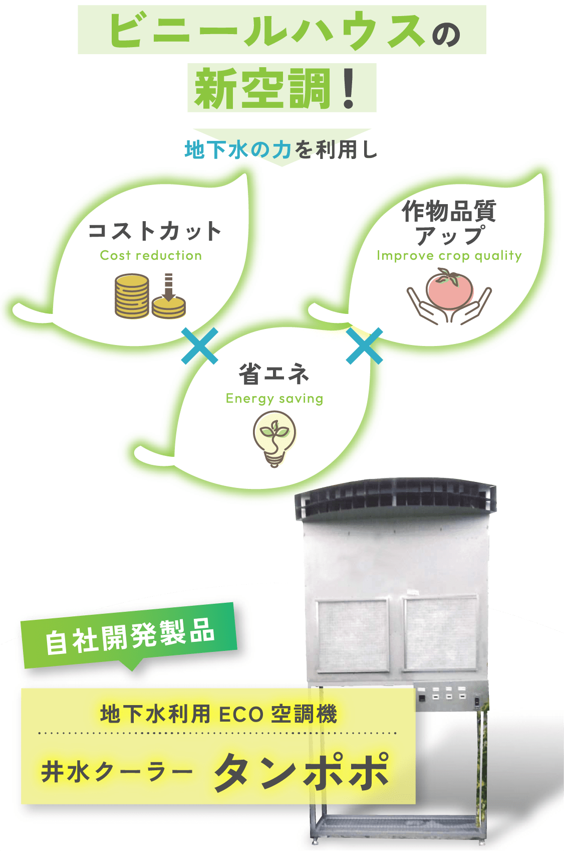 スマホ時の井水クーラータンポポの画像