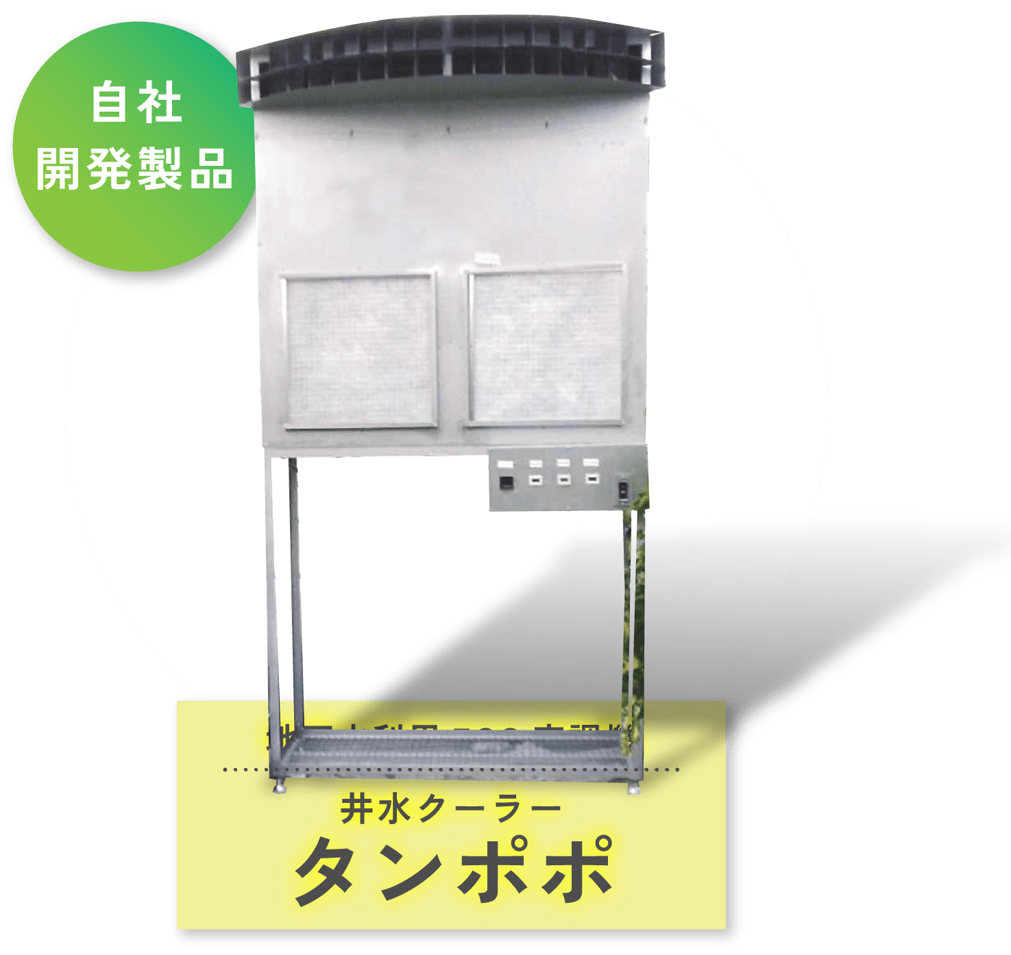 井水クーラータンポポ